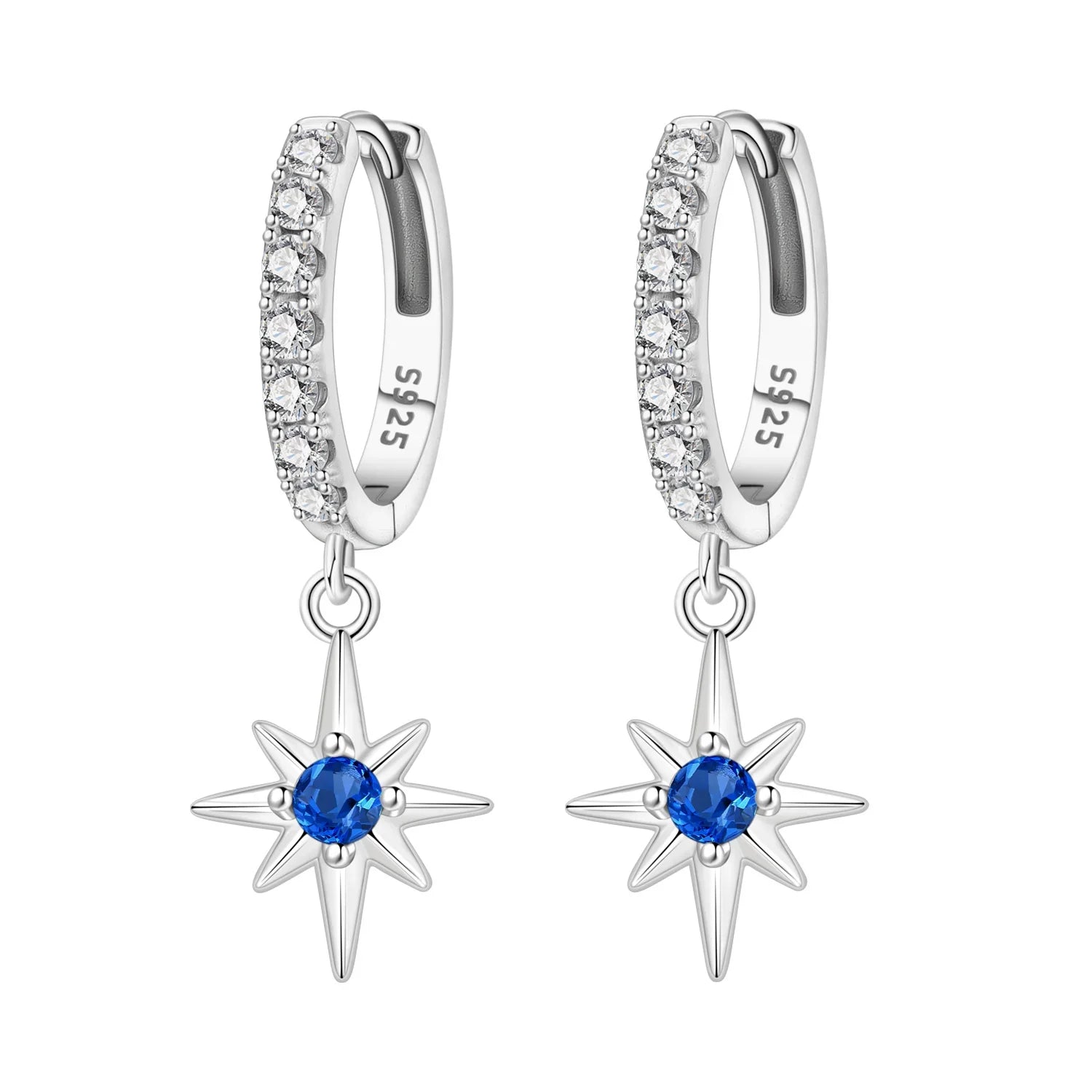Charm Earrings